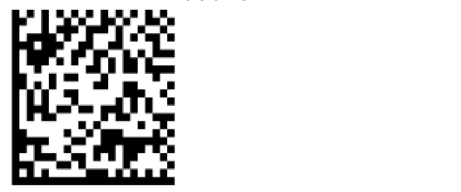 2d barcode UDI