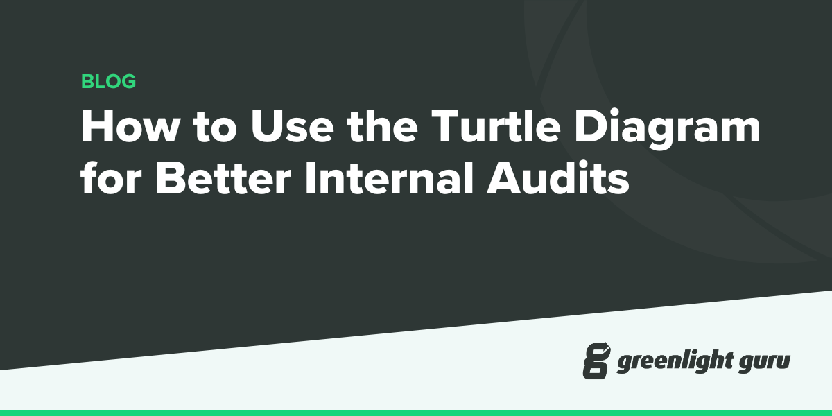 How to Use the Turtle Diagram for Better Internal Audits